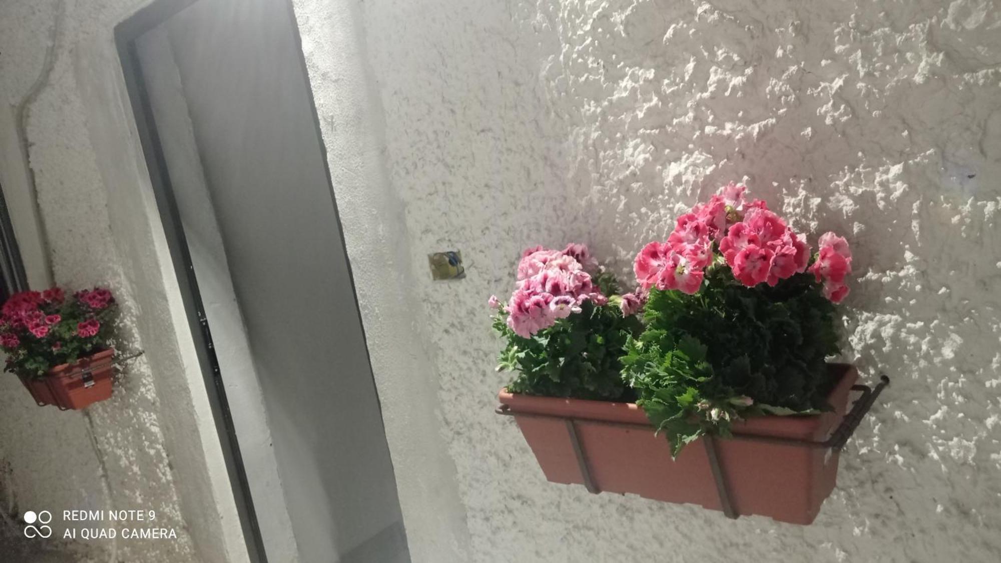Ortensia C House Villa Catania Exterior photo