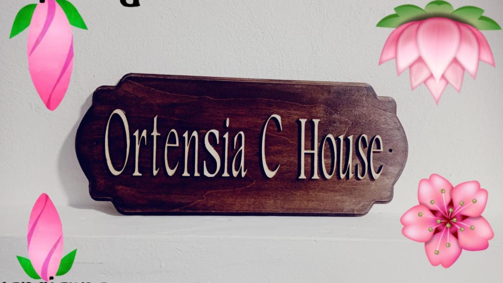 Ortensia C House Villa Catania Exterior photo